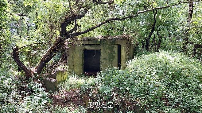 부산 태종대 태종산에서 찾은 일본군 포대 막사. 김찬호 기자