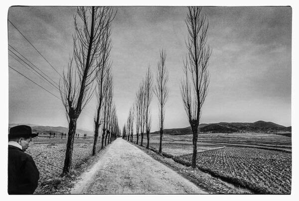 경상북도 월성(경주시 월성동) 1973