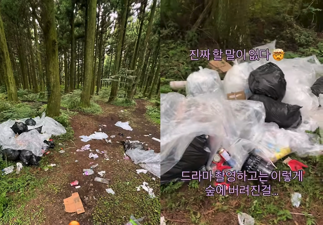 글쓴이가 공유한 영상을 보면, 제주도의 한 자연숲에 그대로 놓인 쓰레기들이 마구잡이로 담겨있다. 인스타그램