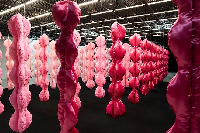 29일 오후 광주 비엔날레전시관에 강윤정 작가의 '감각의 지형' 체험 작품이 설치됐다. 광주비엔날레 제공