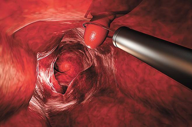 게티이미지뱅크