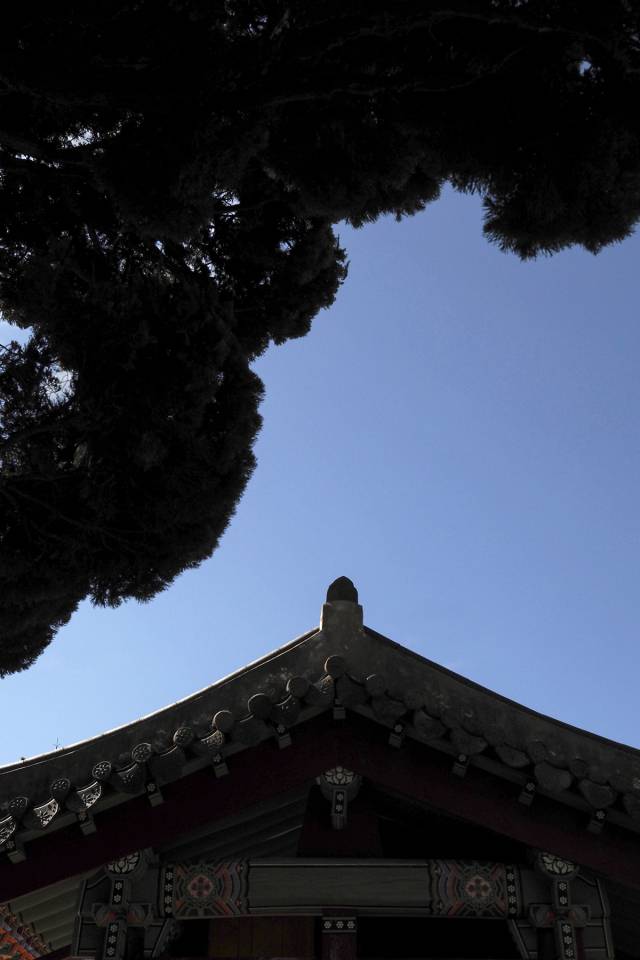 이영혜, 고래등. 작가 제공