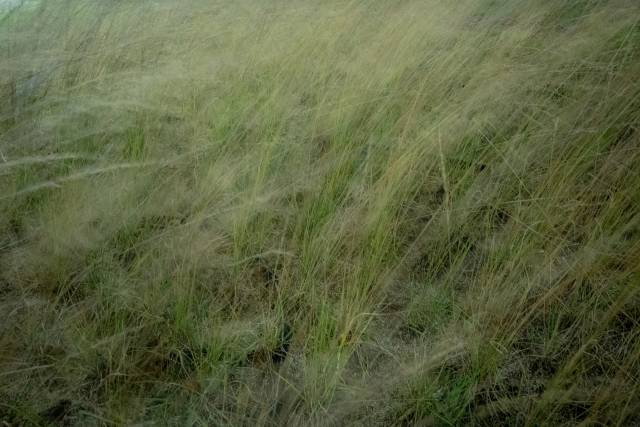 이윤성, justbecause. 스페이스 이신 제공