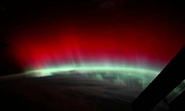 사진=돈 페티트