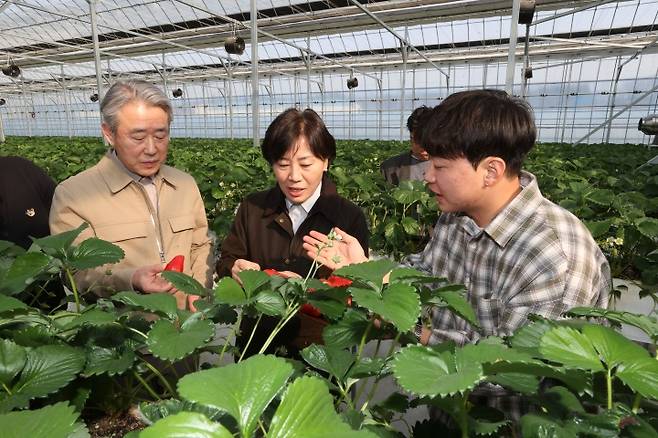송미령 농림축산식품부 장관과 지난 12일 충남 논산시 소재 청년농업인의 스마트팜 농가를 방문해 딸기 생육 상황을 살피고 있다. 2025.3.13. (ⓒ뉴스1, 무단 전재-재배포 금지)