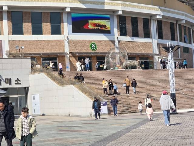 ▲ 매주 토,일요일 경기가 열리는 청도소싸움장에 하루 800명(청도공영사업공사 통계)이상의 관객이 모이고 있다.