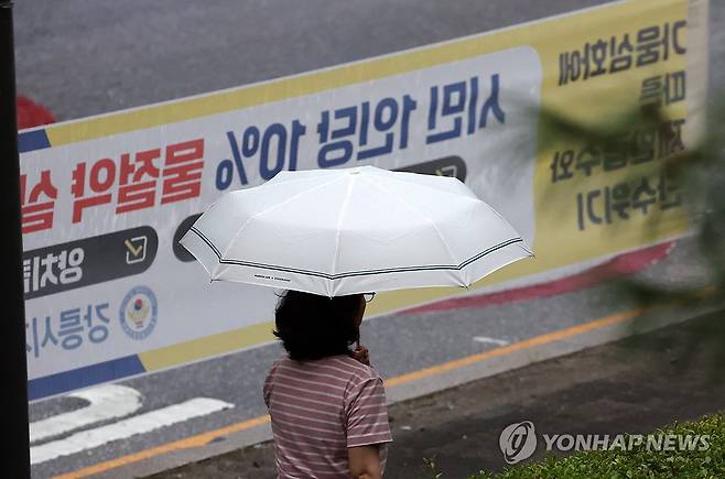 최악 가뭄 강릉에 내리는 비 (강릉=연합뉴스) 유형재 기자 = 최악의 가뭄으로 재난사태가 선포된 강원 강릉지역에 1일 오후 비가 내리고 있다. 2025.9.1 yoo21@yna.co.kr