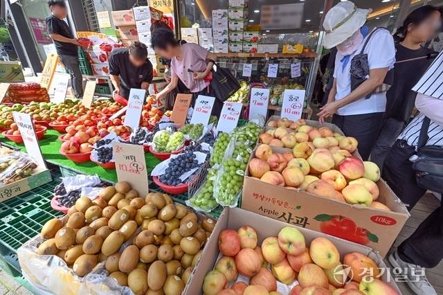 3일 오전 수원특례시내 한 과일가게에서 손님들이 과일을 고르고 있다. 최근 과일 가격이 고공행진을 하고 있는 가운데 유통 과정을 축소해 가격을 낮춘 노상 과일가게들이 인기를 끌고 있다. 김시범기자