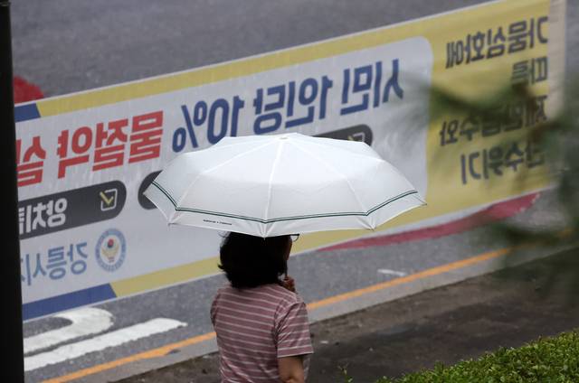 최악의 가뭄으로 재난사태가 선포된 강원 강릉지역에 1일 비가 내리고 있다. 연합뉴스