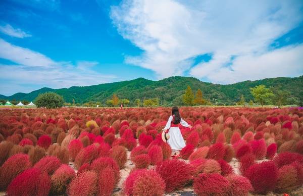 ▲ 의령 호국의병의숲. /경남도