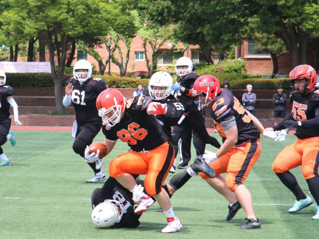 대구경북 대학 미식축구 추계리그 지난 대회 모습. 경북대 러닝백 정현식(86번)이 경일대 중앙을 돌파하고 있다. 대구경북 미식축구협회 제공