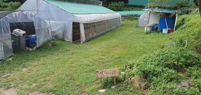 ▲ 4일 오전 포항토종씨앗도서관 구역 내 있는 양계장 모습. 황영우 기자