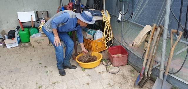 ▲ 4일 이완기(61) 포항토종씨앗도서관 대표가 올해 확보한 무 등 토종 씨앗을 소개하는 모습. 황영우 기자