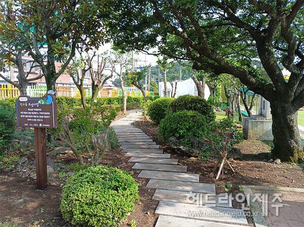서귀포시 의귀초등학교에 조성된 학교 숲. (사진=서귀포시)