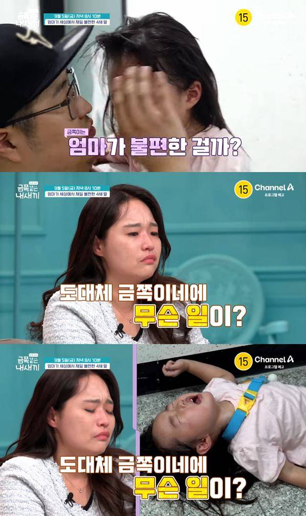 ⓒ채널A