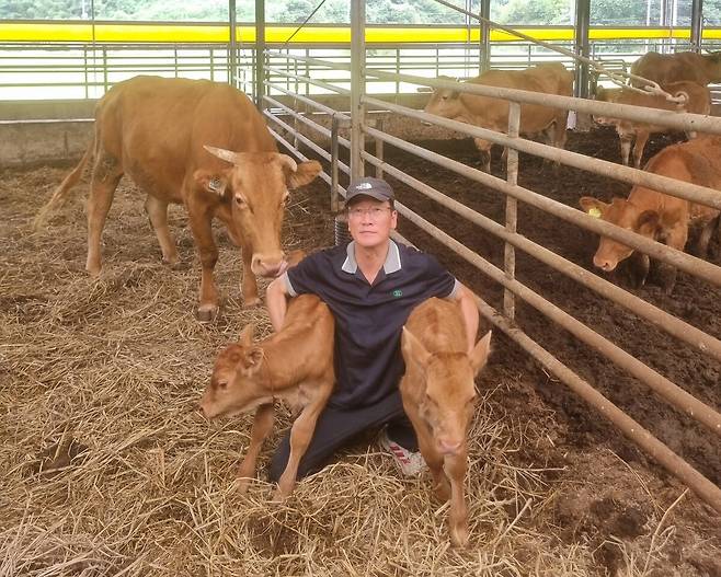 3번이나 쌍둥이 소를 출산한 어미소 우숙이와 쌍둥이 소, 우숙이 주인 이순호씨. 본인 제공