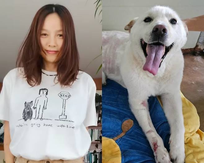 /사진=이효리 SNS