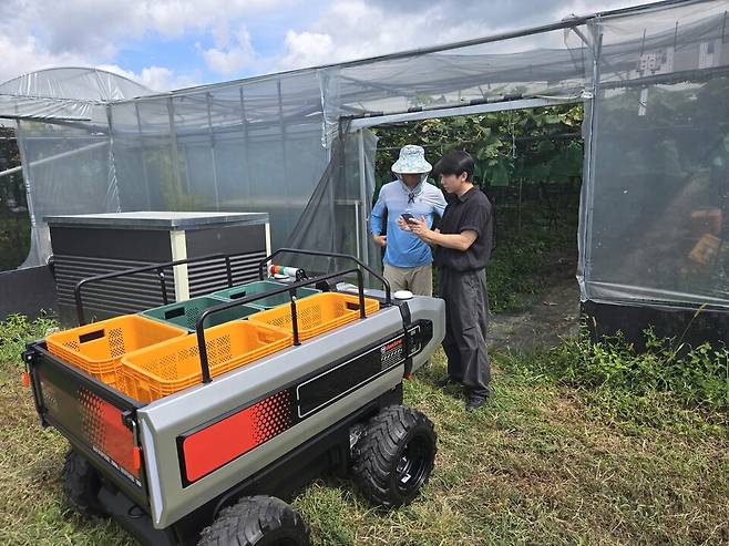 상주시농업기술센터각 9월부터 올해 연말까지 관내 노지 포도농가에서 자율주행 운반로봇 실증시험을 실시하고 있다ⓒ상주시