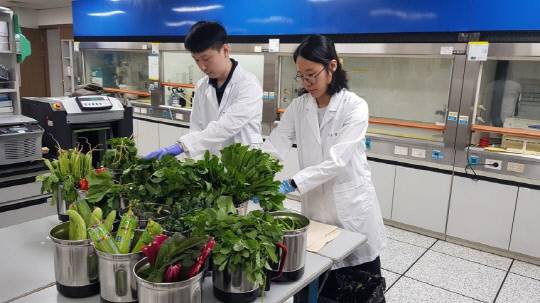 대전보건환경연구원에서 잔류농약 검사를 진행하는 모습. 대전시