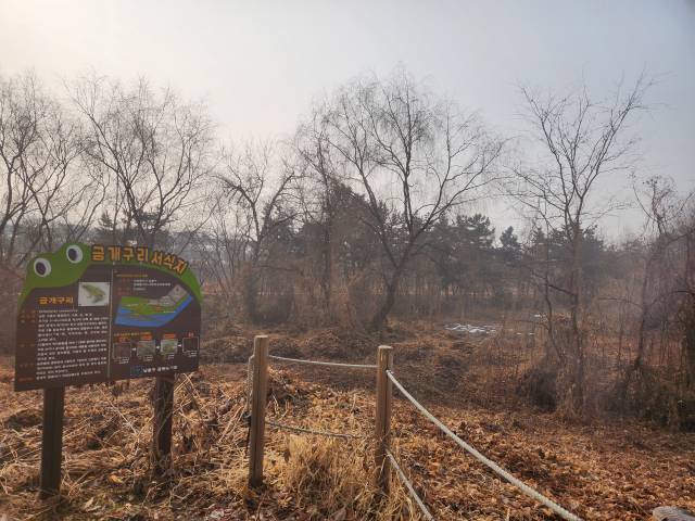 인천 남동구 소래포구 해오름근린공원에 있는 금개구리 서식지 복원사업 현장. 남동구청 제공