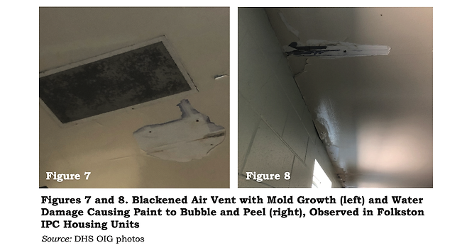 곰팡이가 잔뜩 끼어있는 환기구