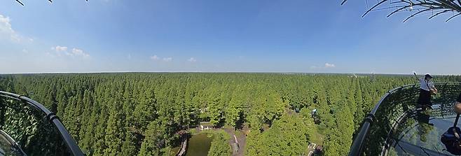 끝없는 숲이 펼쳐지는 황하이국가삼림공원.