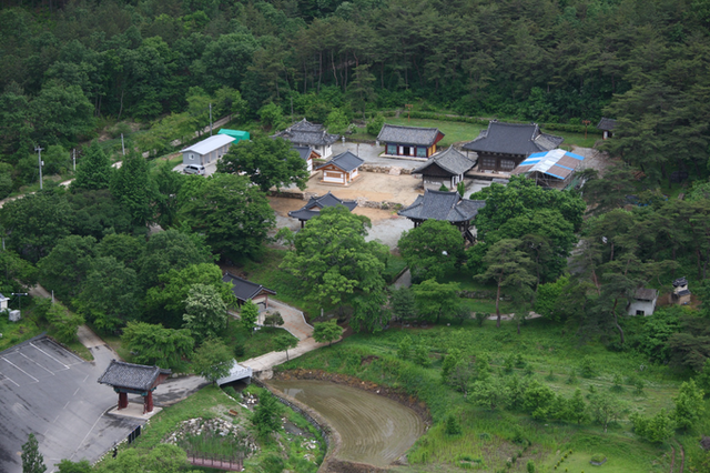 ▲ 의성 대곡사 전경, 대웅전과 범종루·요사채가 울창한 숲에 둘러앉은 산사 풍광. 의성군