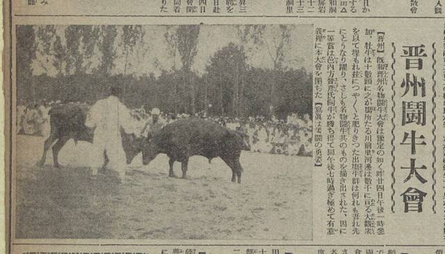 진주투우대회(진주소싸움대회/1934년) 확대본.