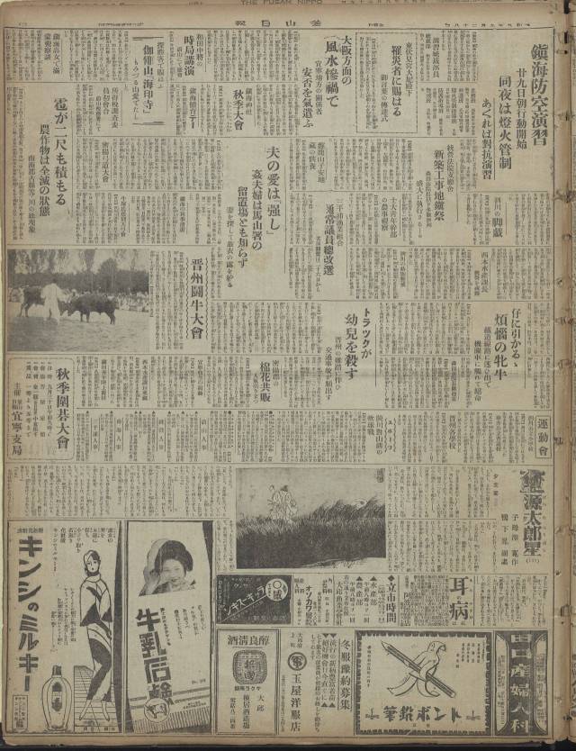 진주투우대회(진주소싸움대회) 부산일보 지면.(1934년 9월 28일). /국립중앙도서관/