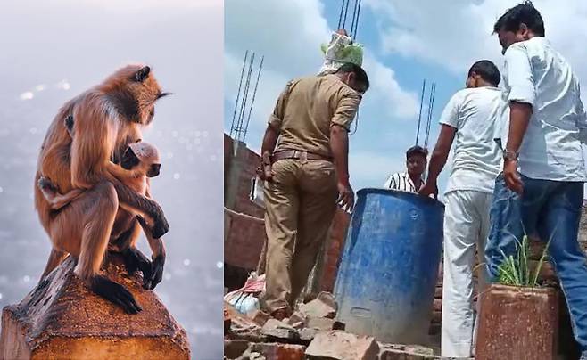 게티이미지/인디아TV