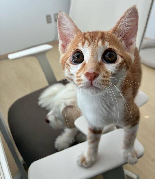 호기심 대폭발!!