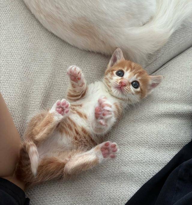 핑크 젤리 자랑 중