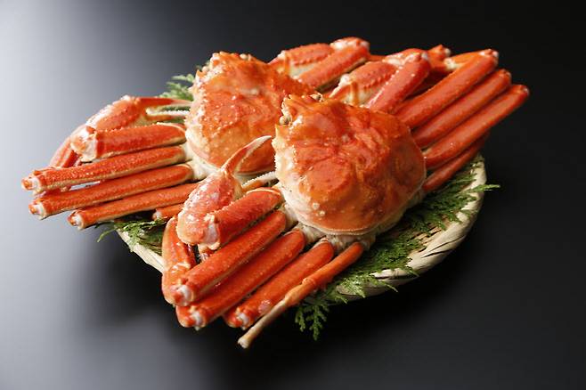 (사진=게티이미지)