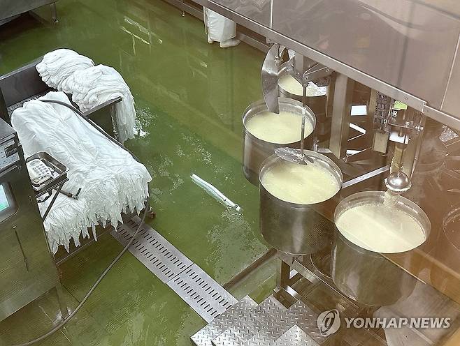 강릉 '초당두부'도 위기 (강릉=연합뉴스) 강태현 기자 = 최악의 가뭄으로 '재난 사태' 선포 12일째를 맞은 10일 강릉초당두부 공장에서 두부가 제조되고 있다. 콩 세척과 불리기, 끓이기, 여과, 열 냉탕 처리 등 과정에 물 사용이 필수적인 탓에 두부 식당과 공장은 단수로 인한 생업 위기를 토로하고 있다. 2025.9.10 taetae@yna.co.kr