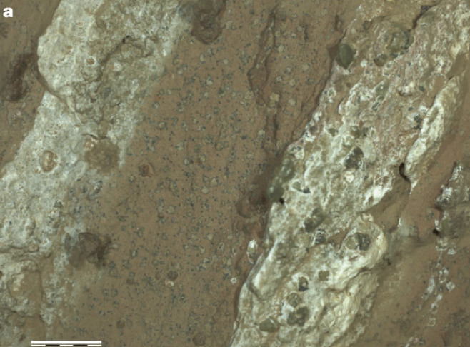 퍼서비어런스가 채취한 암석 샘플을 확대한 사진. 암석 곳곳에 얼룩덜룩 반점들이 찍혀 있다. Nature 제공.
