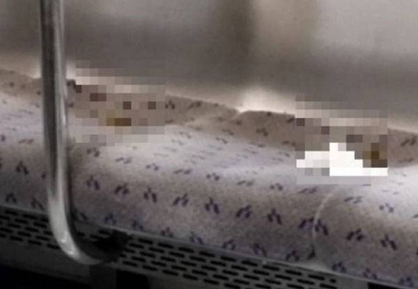 서울 지하철 좌석에서 대변으로 추정되는 이물질이 발견됐다는 목격담이 퍼졌다./사진=온라인 커뮤니티 갈무리