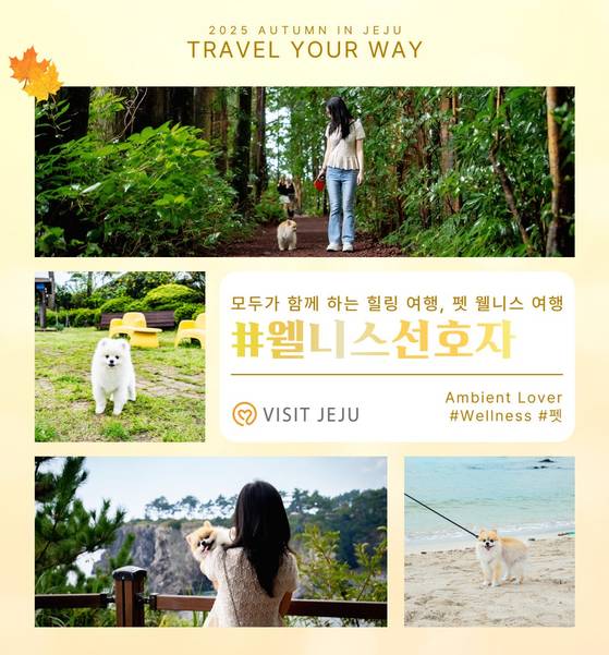 가을 제주를 즐기는 7가지 방법. 사진 제주관광공사