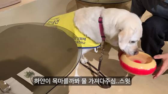 시각장애를 가진 앵커 허우령씨가 최근 강원 동해시 묵호동을 여행하는 모습이 담긴 영상을 올렸다. 사진 유튜브 ‘우령의 유디오’ 캡처