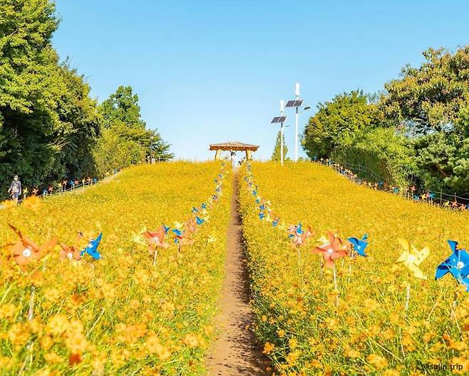 서울 올림픽공원의 대표적인 포토존인 들꽃마루. /사진=한국관광공사