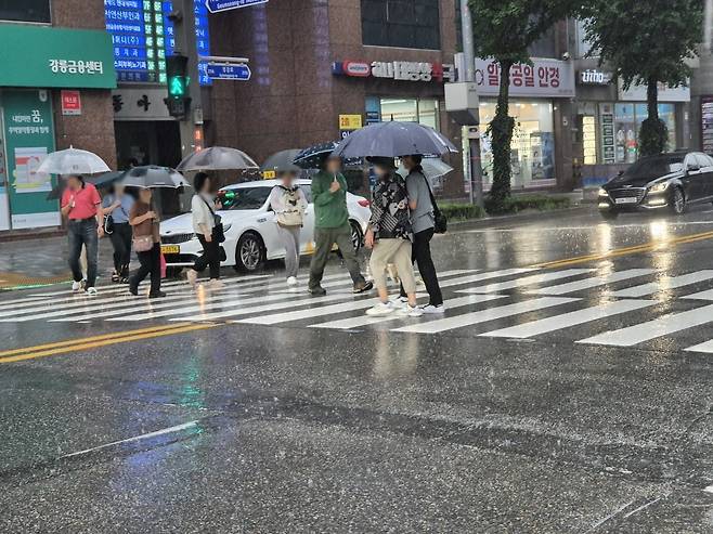 극심한 가뭄을 겪고 있는 강원 강릉에 단비가 내린 17일 시민들이 우산을 쓰고 횡단보도를 걷고 있다. 뉴스1