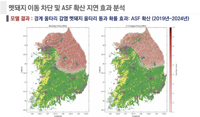 모든 울타리를 존치시켰을 경우(오른쪽) ASF 지연 효과가 최서단과 최남단 울타리만 존치시킨 경우(왼쪽)보다 다소 높았지만 큰 차이는 없었다. KEI 발표 자료 캡처