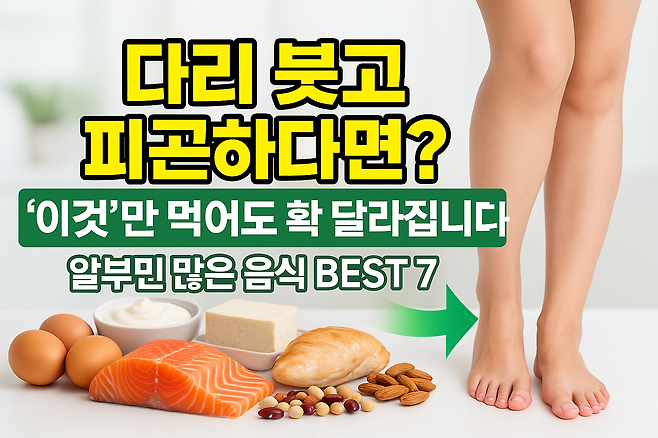 다리 붓고 피곤하다면 이것만 먹어도 확 달라집니다 알부민 많은 음식 BEST 7
