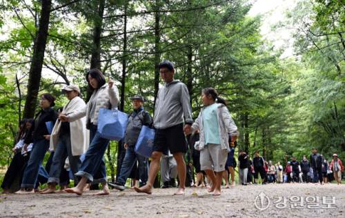20일 평창 월정사 전나무 숲길에서 열린 2025 오대산 전나무 숲길 맨발 힐링 트래킹에 참가한 시민들이 자연과 하나되는 치유의 시간을 갖고 있다. 신세희기자