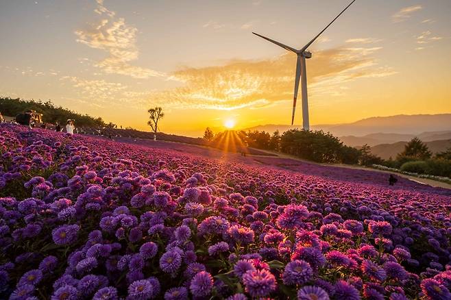 사진= 한국관광공사 포토코리아-전계성