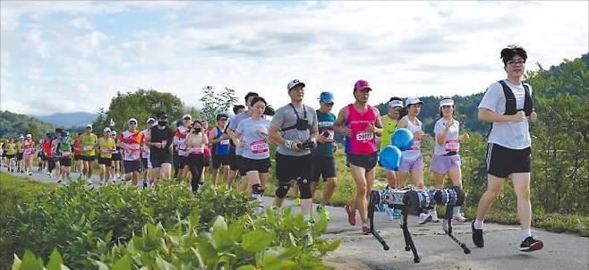 라이온로보틱스가 개발한 사족보행 로봇 ‘라이보’가 마라톤하는 모습. /라이온로보틱스 제공