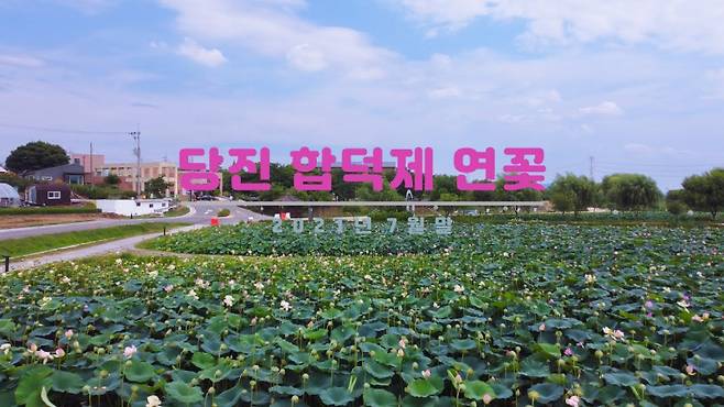 합덕제. 당진시