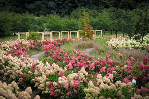 국립백두대간수목원