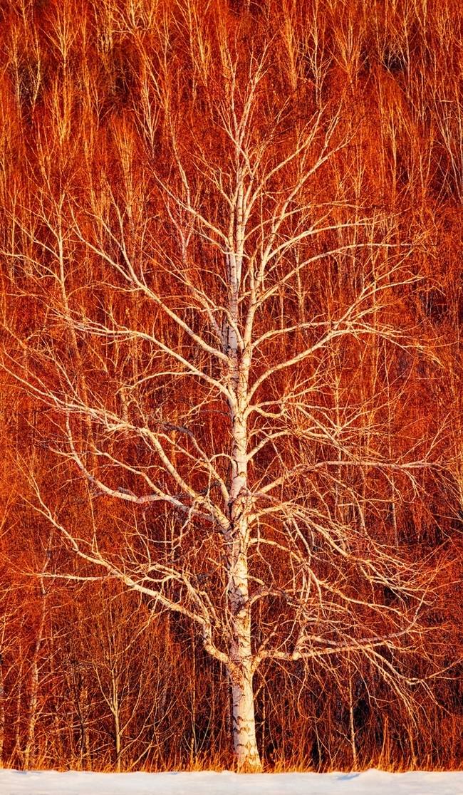 ▲ 이만우 자작 2025.