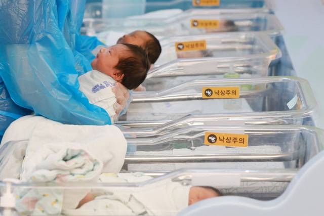 대구와 경북지역의 올해 7월 출생아 수가 전년 동월 대비 동반 상승한 것으로 나타났다. 연합뉴스