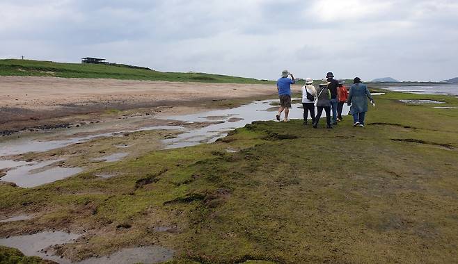 신양 해안사구와 신양리층 / 사진=한국내셔널트러스트 누리집